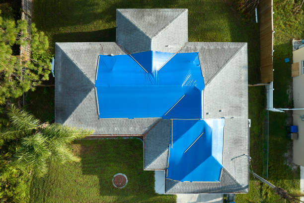 Best Roof Maintenance and Cleaning  in Grandwood Park, IL